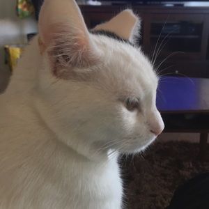 Meet your Posher, Nathan